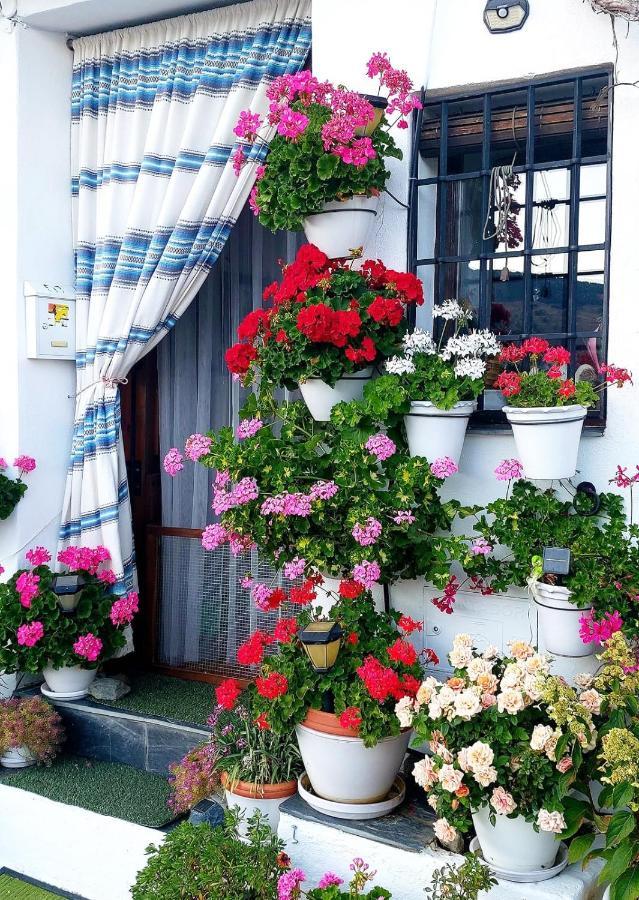 Апартаменти Casa Alhambra - Centro Historico Con Jardin Privado Гранада Екстер'єр фото