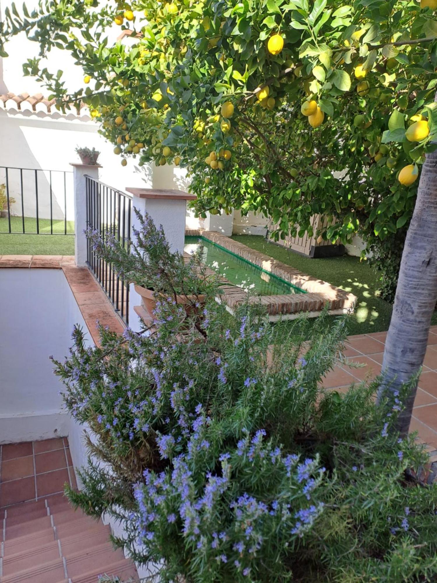 Апартаменти Casa Alhambra - Centro Historico Con Jardin Privado Гранада Екстер'єр фото